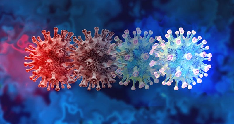 microscopic view of virus