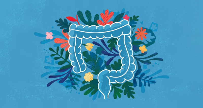 How Is Your Gut Health?