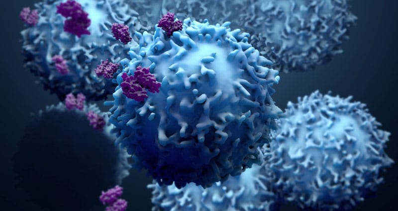 Immunotherapy: How Does It Treat Cancer?