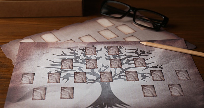 Family tree image imprinted on paper next to a pencil and pair of eyeglasses.