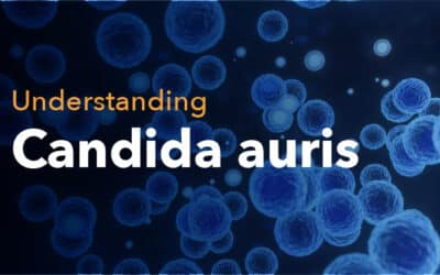 Understanding Candida auris: Risks, Symptoms and Prevention Measures