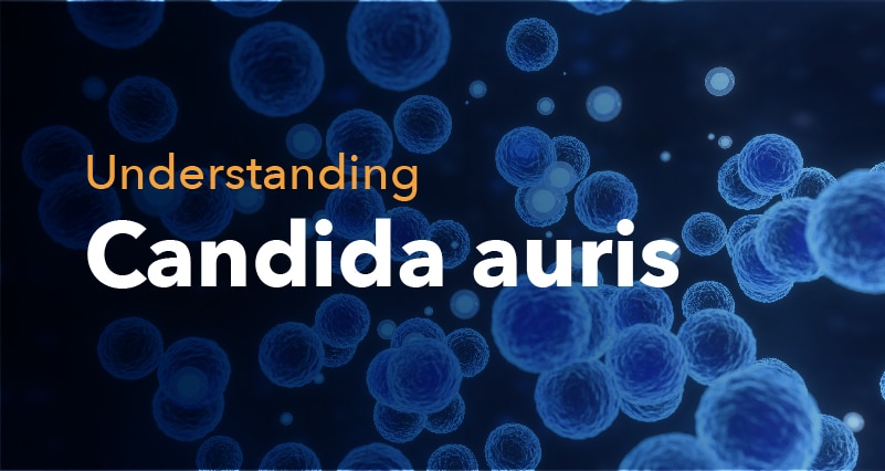 Understanding Candida auris: Risks, Symptoms and Prevention Measures