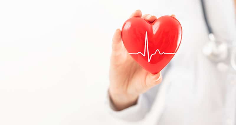 provider holding red heart-shape